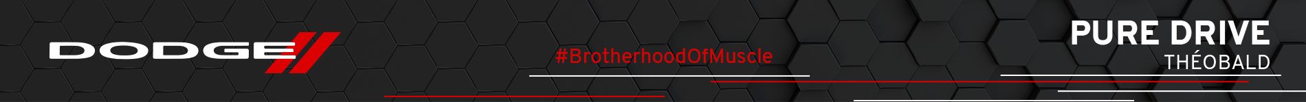 Groupe Théobald - Dodge Charger